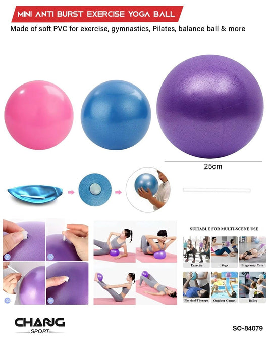 25CM Mini Anti-Burst Exercise Yoga Ball – Soft PVC Pilates & Balance Ball "SC-84079"